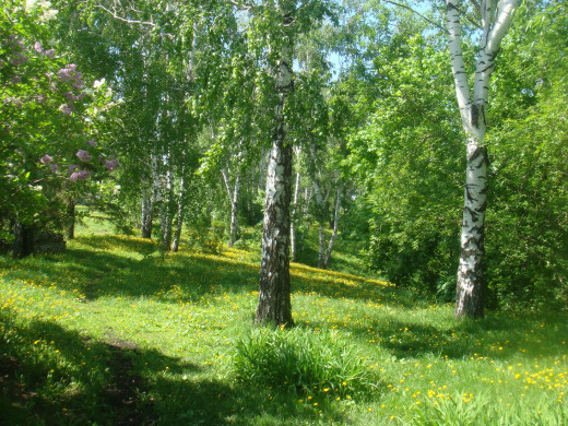 634227 (a): :2592x1944